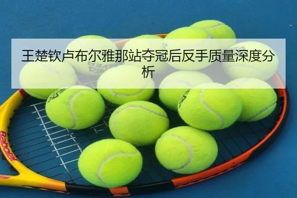 王楚钦卢布尔雅那站夺冠后反手质量深度分析